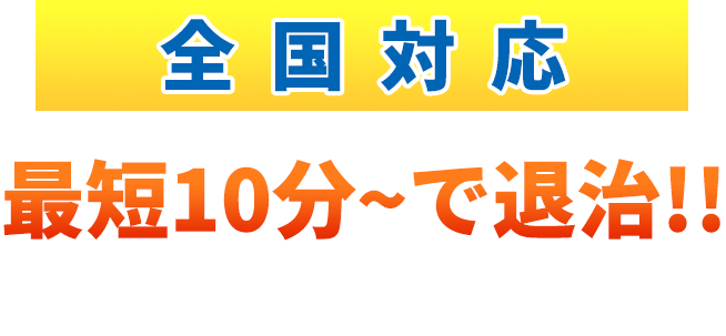 最短10分～で退治!! お電話一本で駆けつけます