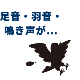 足音・羽音・鳴き声が…