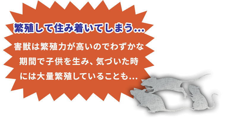 繁殖して住み着いてしまう…