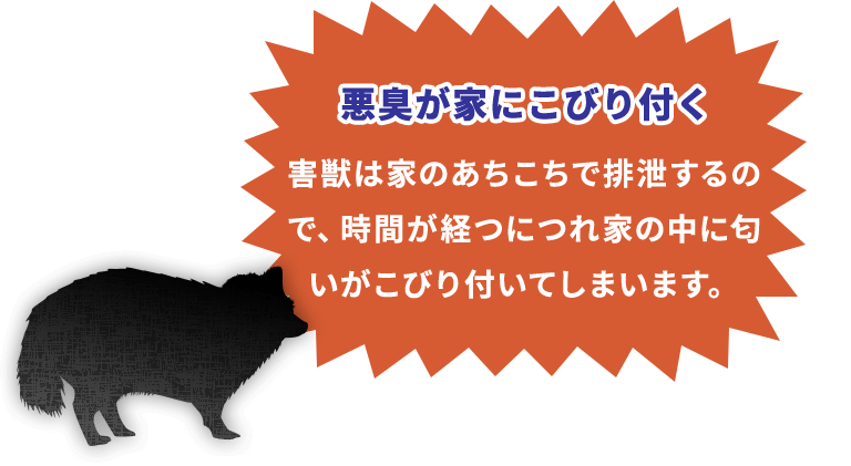 悪臭が家にこびり付く