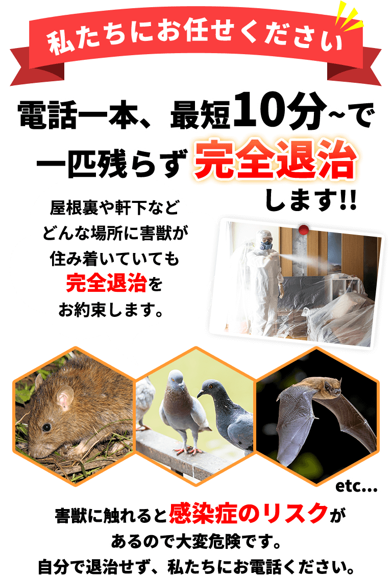 私たちにお任せください