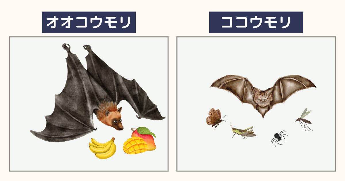 絶滅の危機にあるヒナコウモリとは?|特徴、生態などを詳しく解説