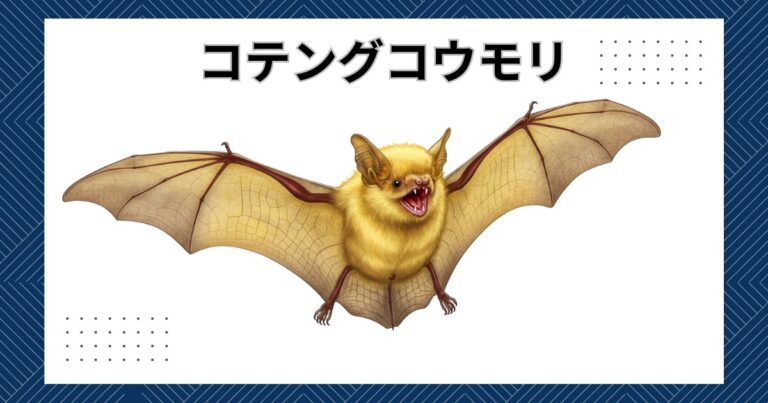 日本に生息するコウモリの代表種やペットにオススメの計17種類を紹介