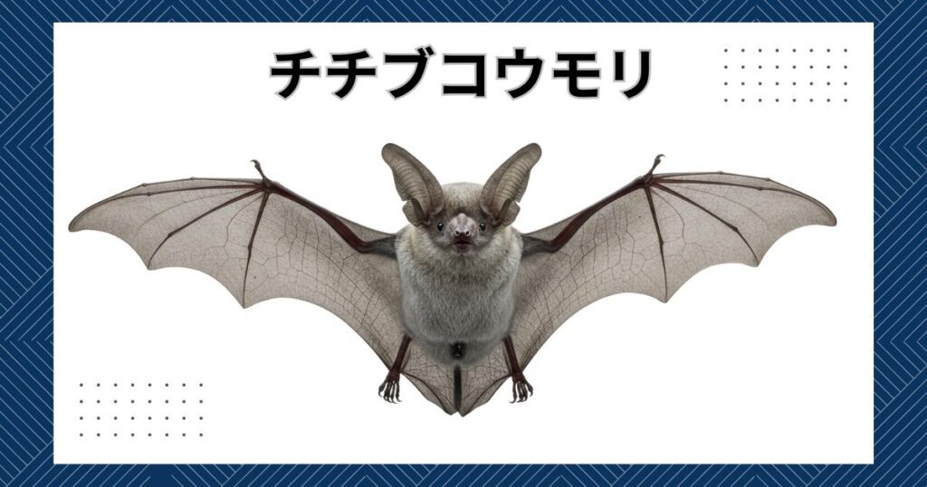 日本に生息するコウモリの代表種やペットにオススメの計17種類を紹介