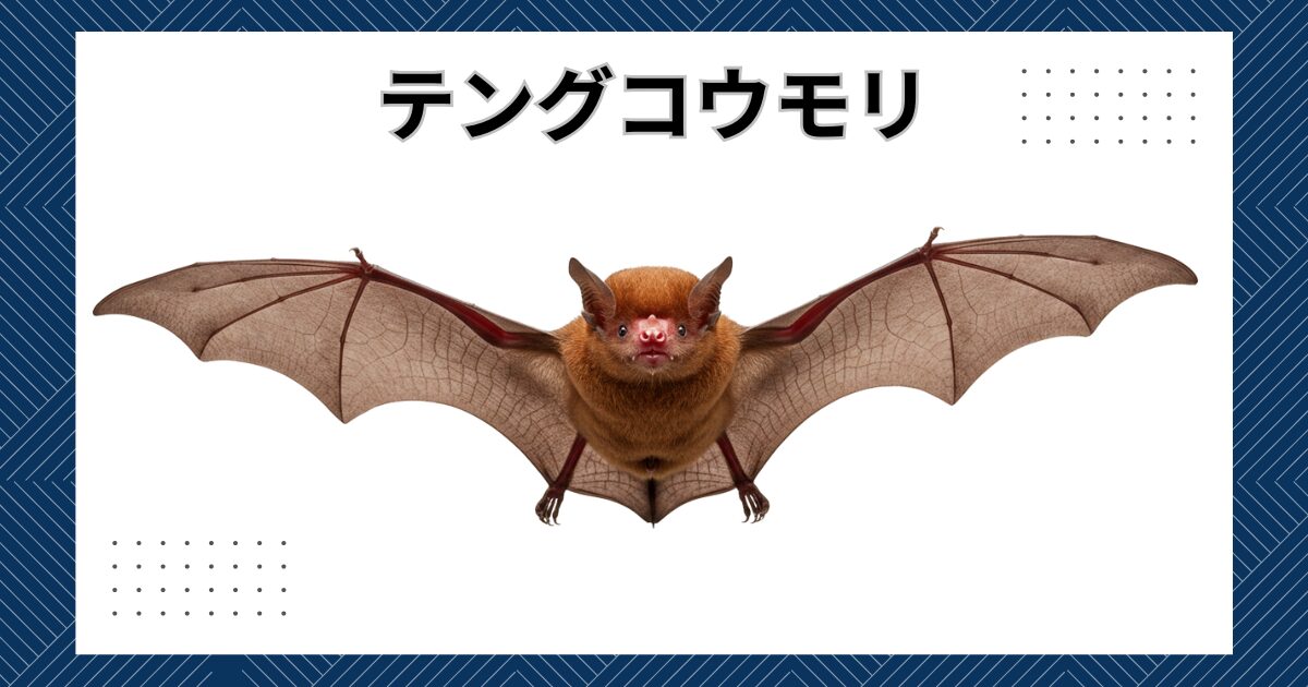 害獣にお困りの方は害獣お助け本舗にお任せ! - 害獣お助け本舗