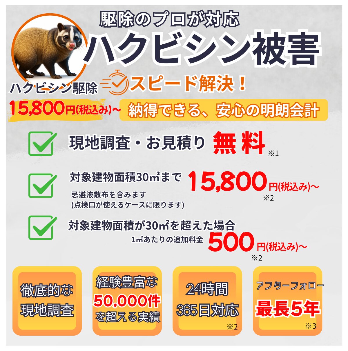 ハクビシン の 食べ物