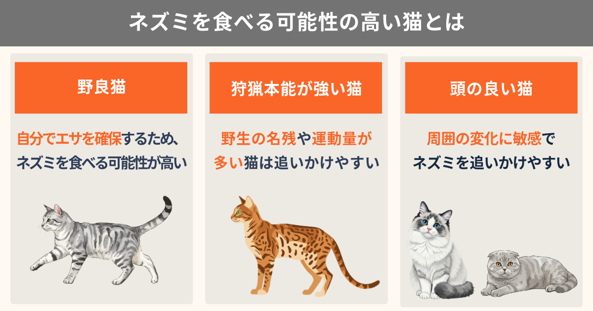 飼い猫はネズミを食べるの?猫の本能と危険性を徹底解説
